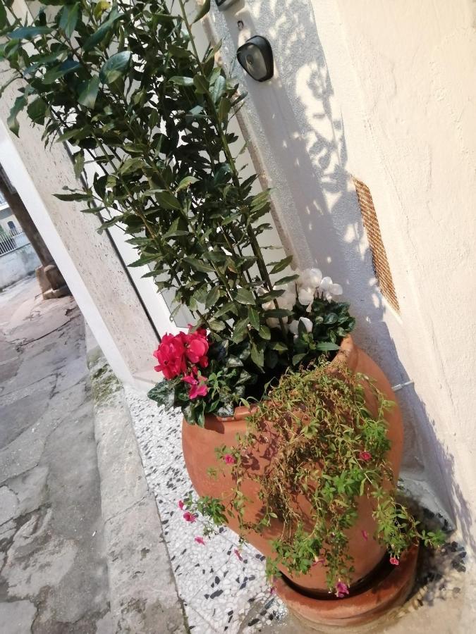 Appartement Relax Santa Cecilia à Gravina in Puglia Extérieur photo